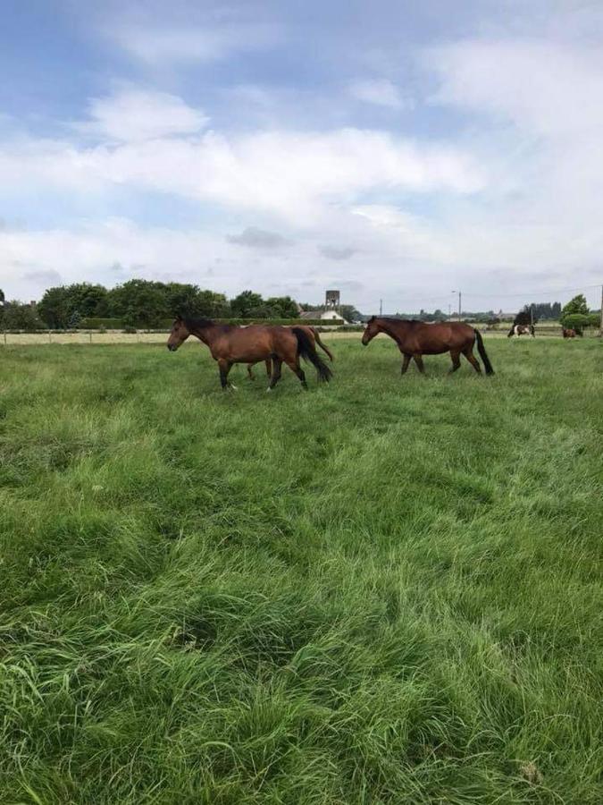 Ferme De La Forterie Verlinghem Exteriör bild