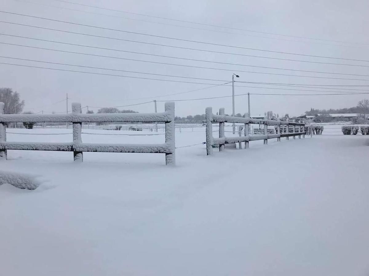 Ferme De La Forterie Verlinghem Exteriör bild