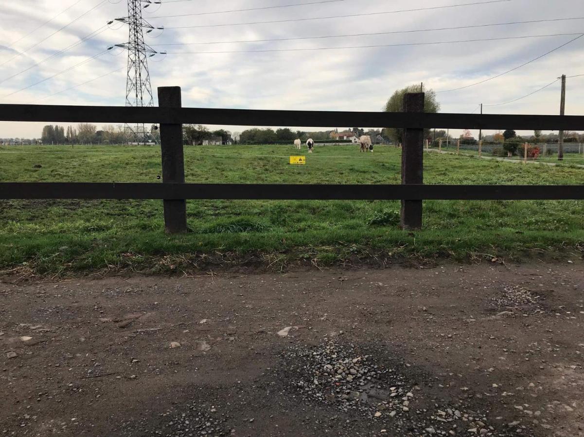 Ferme De La Forterie Verlinghem Exteriör bild